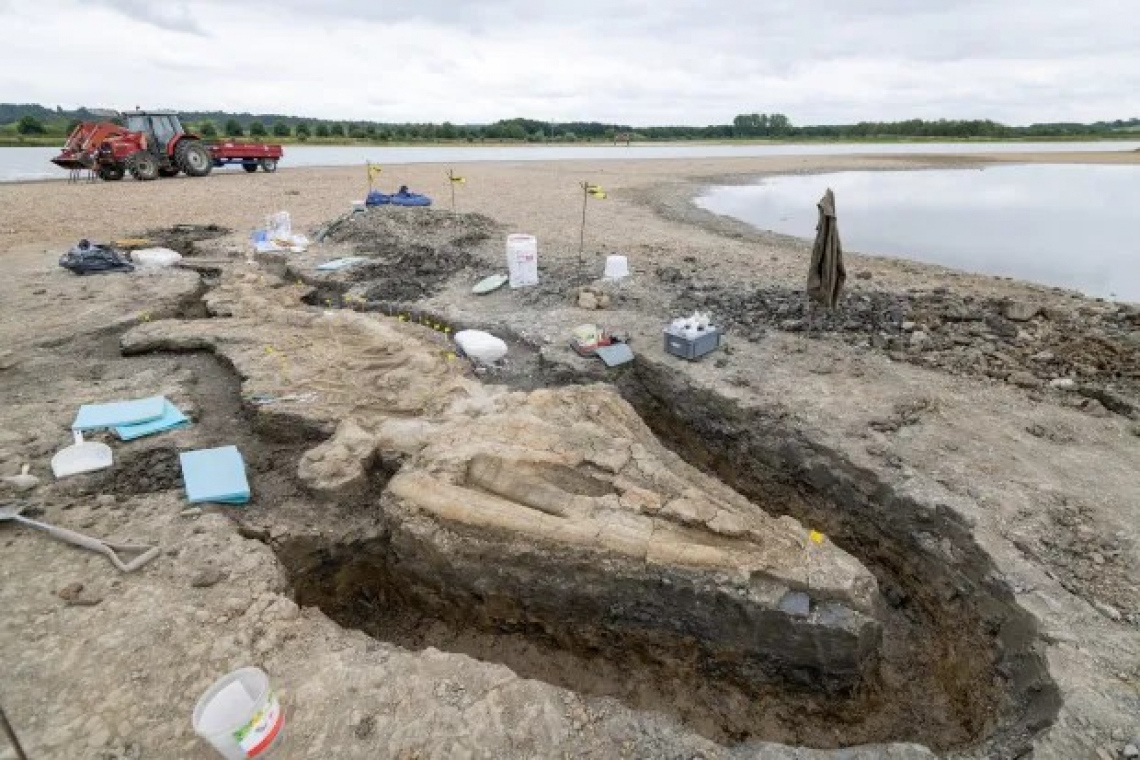 Giant 30ft ‘sea dragon’ discovered in East Midlands
